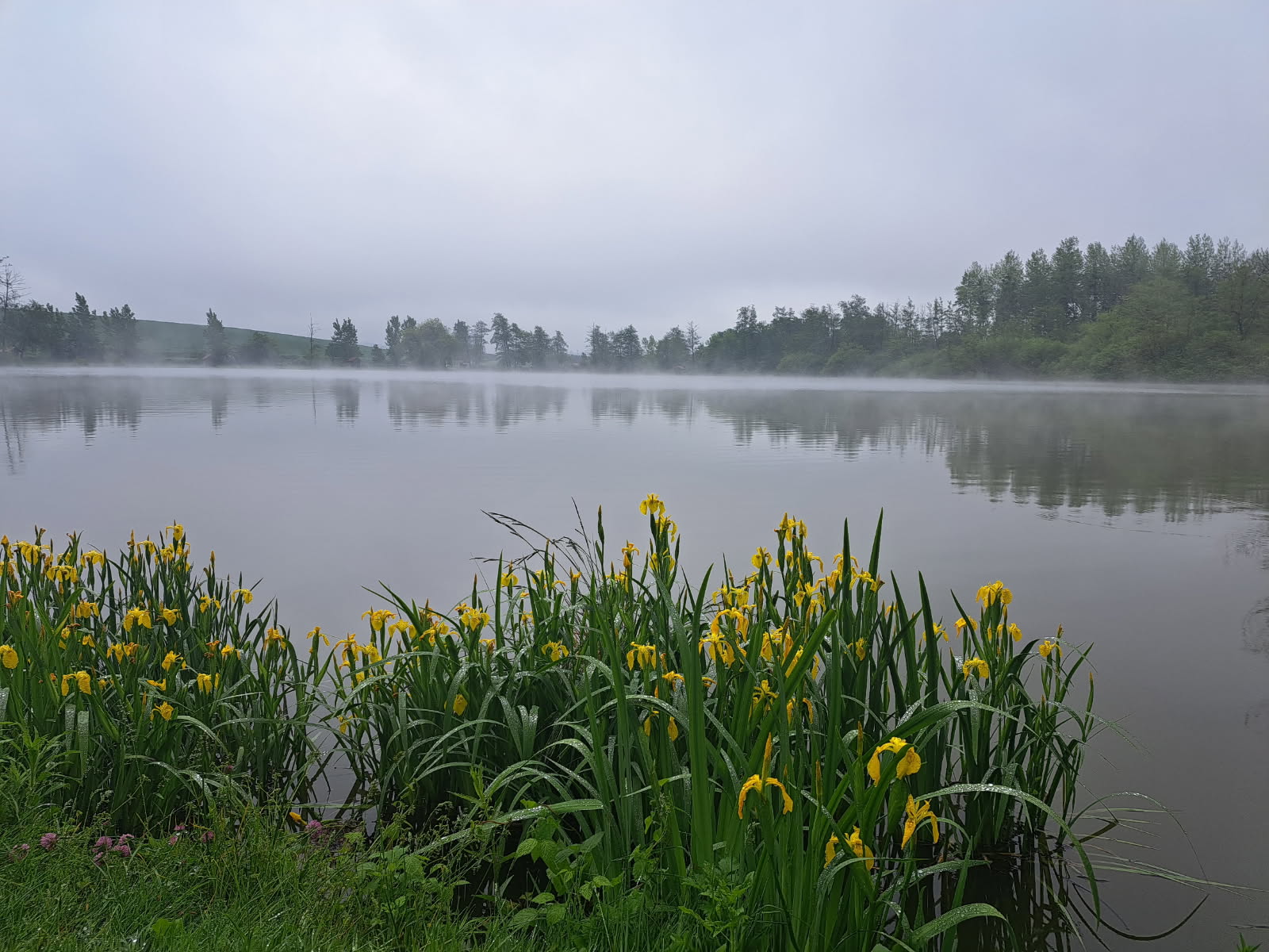 etang mai 2025