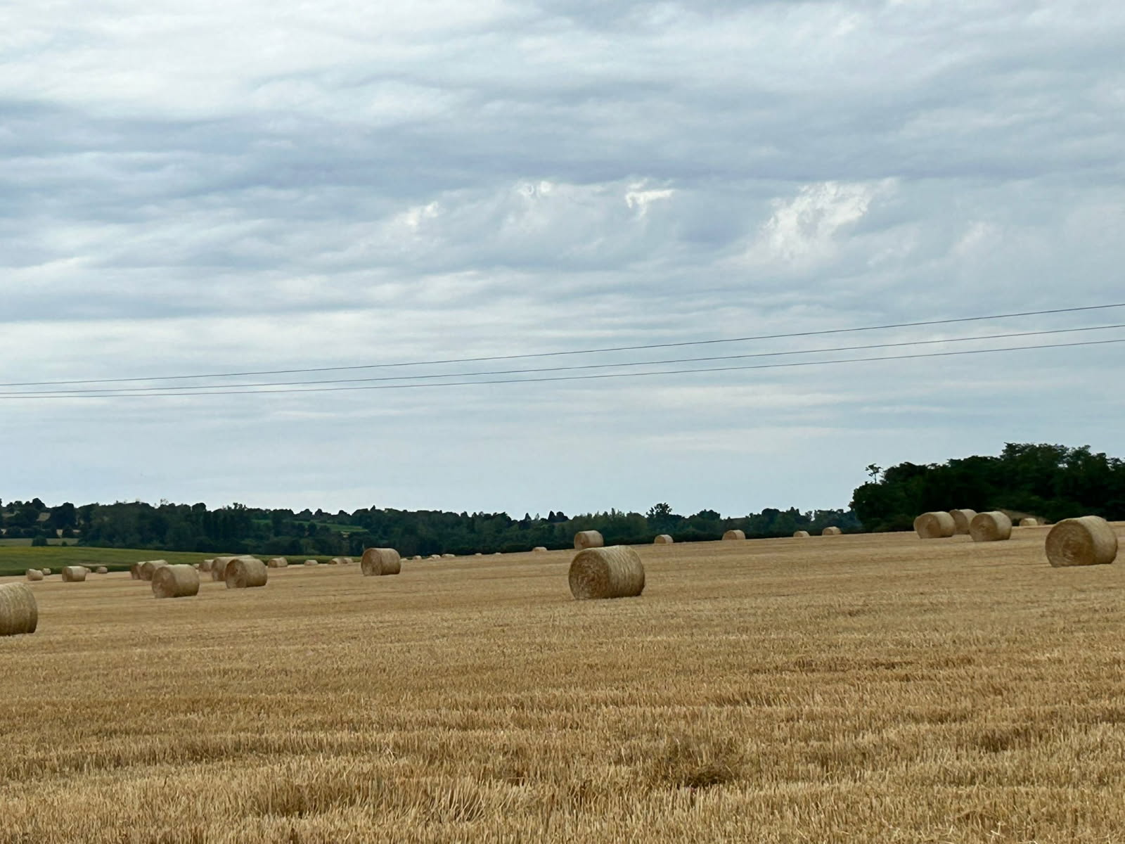 moisson